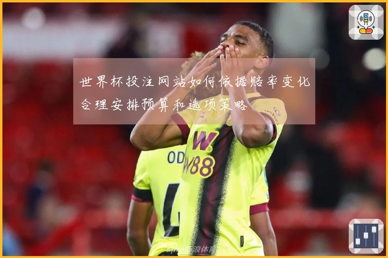 世界杯投注网站如何依据赔率变化合理安排预算和选项策略