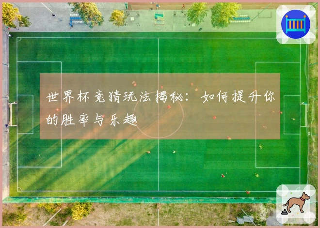 世界杯竞猜玩法揭秘：如何提升你的胜率与乐趣