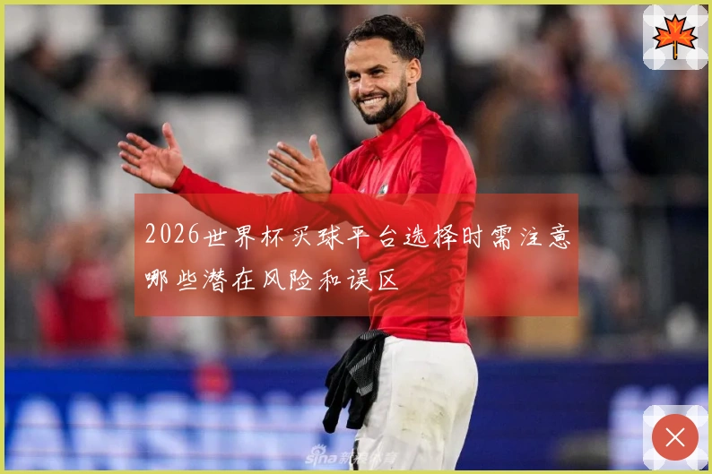 2026世界杯买球平台选择时需注意哪些潜在风险和误区