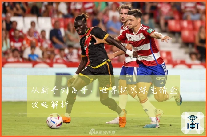 从新手到高手，世界杯买球竞猜全攻略解析