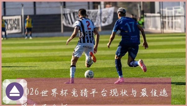 2026世界杯竞猜平台现状与最佳选择全面分析