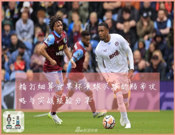 精打细算世界杯滚球买球的赔率攻略与实战经验分享