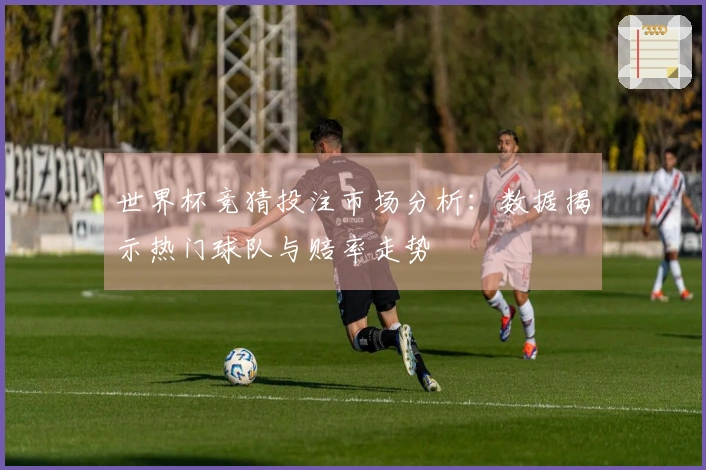 世界杯竞猜投注市场分析：数据揭示热门球队与赔率走势