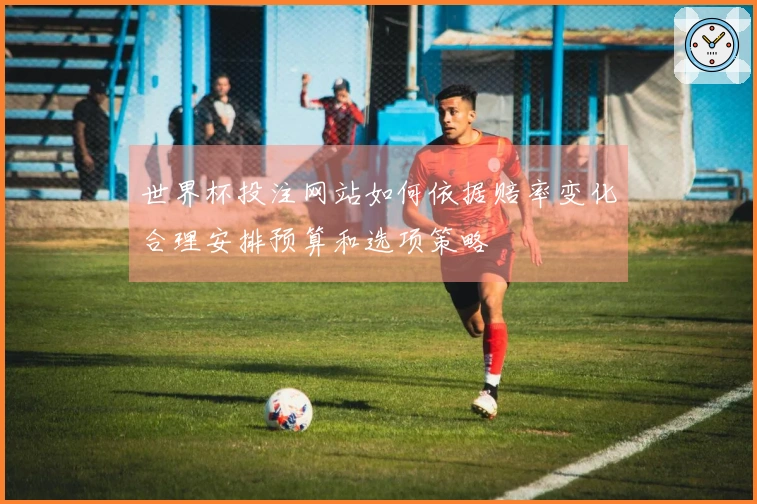 世界杯投注网站如何依据赔率变化合理安排预算和选项策略