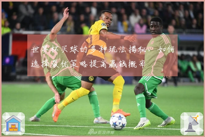 世界杯买球的多种玩法揭秘，如何选择最优策略提高赢钱概率