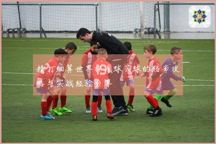 精打细算世界杯滚球买球的赔率攻略与实战经验分享